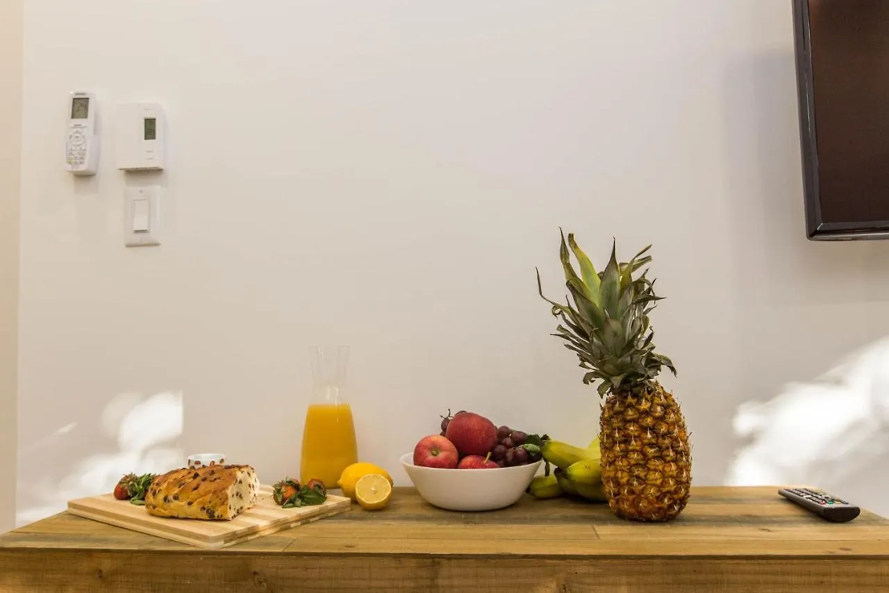 Lofts Du Parc Lahaie Montreal Apartment